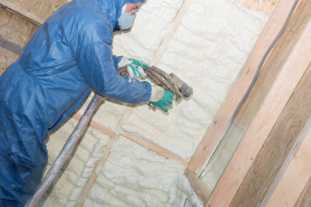 Professional Insulation in Pea Ridge, WV